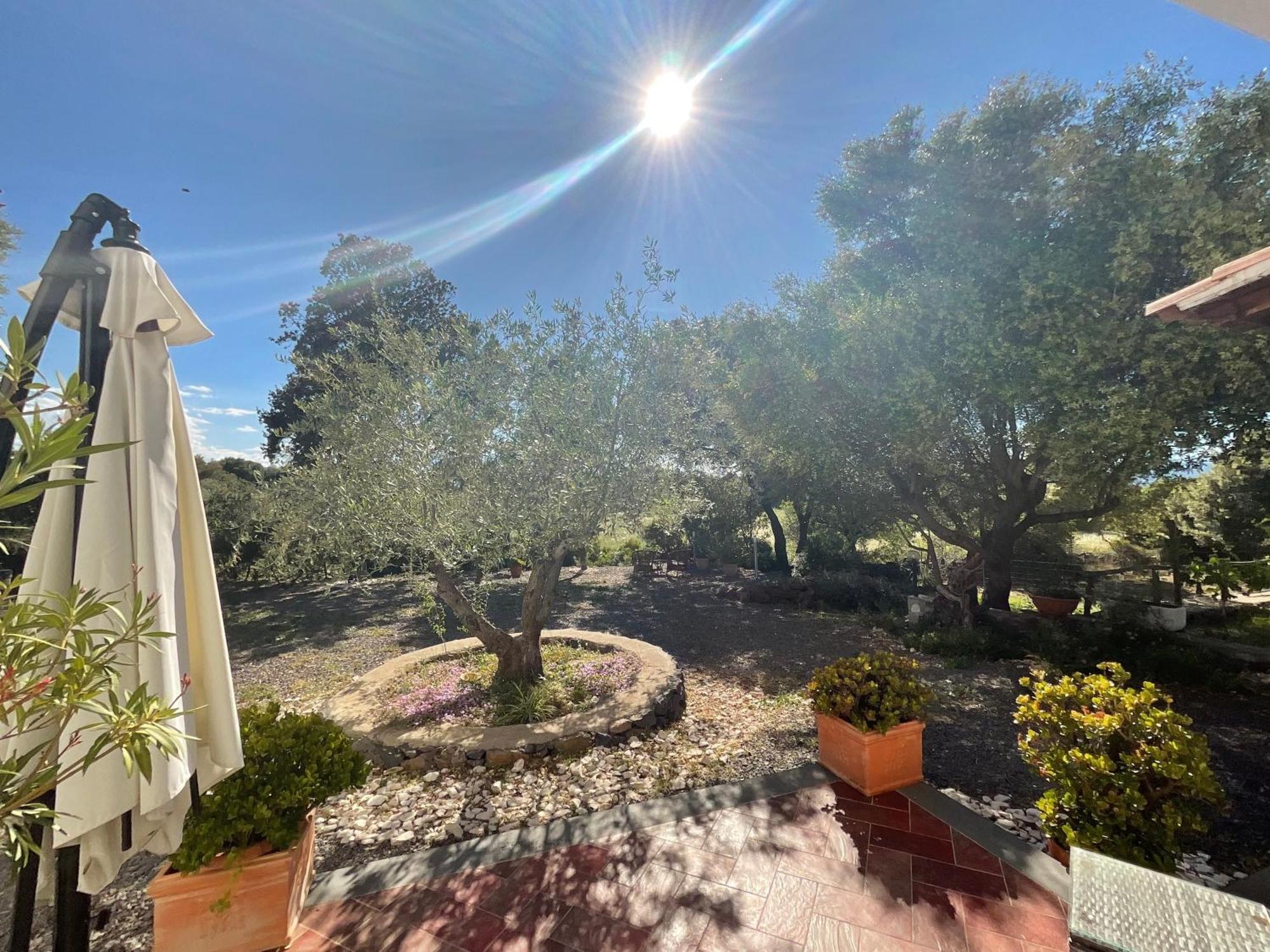 Residenza Di Campagna Dolmen Motorra Guest House Dorgali Eksteriør bilde